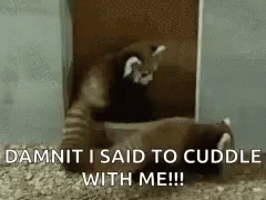 snuggle me now