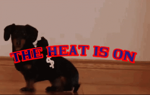The Heat  Is On GIF  TheHeatIsOn Discover Share GIFs 