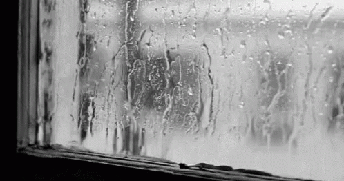 raining window gif raining