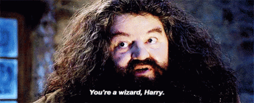 Image result for you're a wizard harry gif