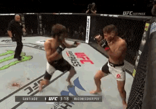 Zabit Magomedsharipov vs Yair Rodriguez rescheduled for UFC 254 - Zabit Zabit Ufc GIF