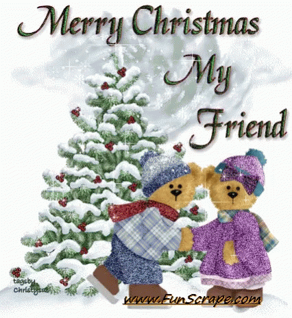 merry christmas my friend