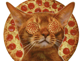 pizza gif pizza cat hypnotize discover share gifs