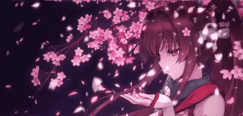 4000 Gambar Bunga  Sakura Anime Gambar ID