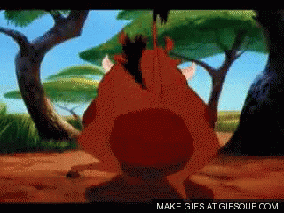 wallpapers Dancing Pumba Gif pumba from lion king gifs tenor