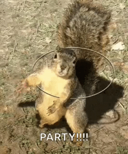 Squirrel Rotating GIF - Squirrel Rotating Ring - Discover & Share GIFs