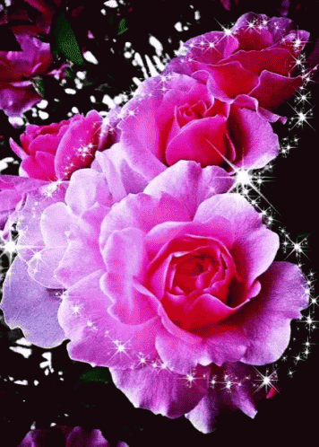 Rose Glitter GIF - Rose Glitter Flower - Discover & Share GIFs