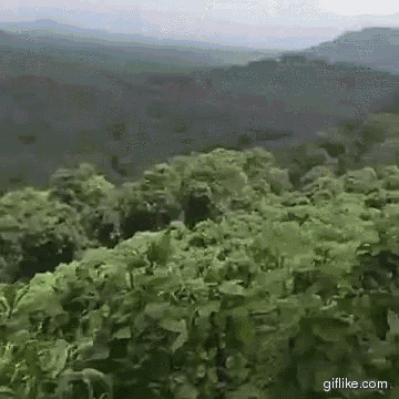 okay vine gif okay ok vine discover share gifs