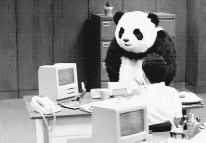 Image result for panda smashing gif