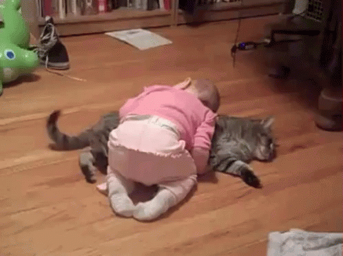 Cat Baby GIF - Cat Baby Sleep - Discover & Share GIFs