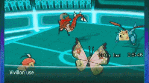 pokemon magikarp gif pokemon