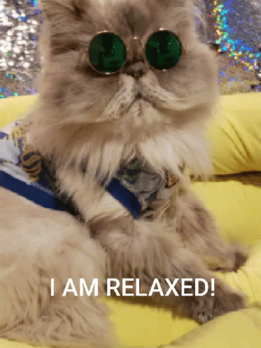 cute relax gif