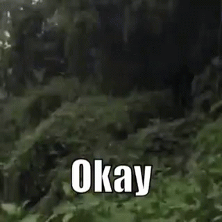 okay gifs tenor