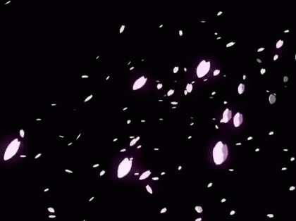 最新桜吹雪 画像 花の画像