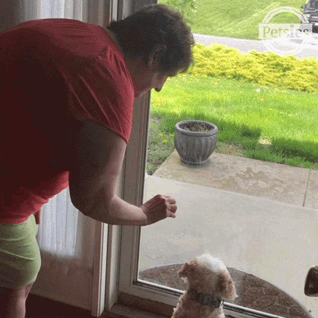 Scared Pet GIF - Scared Pet Touch GIFs