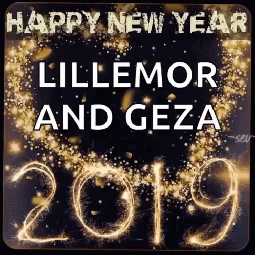 Happy New Year2019 GIF - HappyNewYear2019 - Discover &amp; Share GIFs