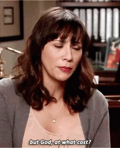parks and rec ann