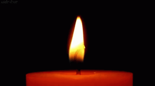 Candle Light GIF - CandleLight - Discover & Share GIFs