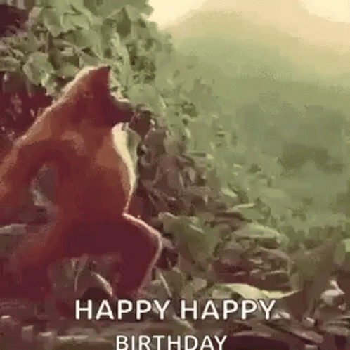 View Birthday Dance Happy Birthday Gif Funny For Him Images