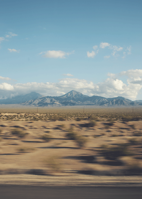 Summer Vacation Gif Summer Vacation Gif