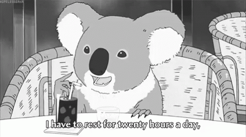 My Sleep Schedule GIF - Twentyhouse Sleepallday Koala - Discover & Share GIFs