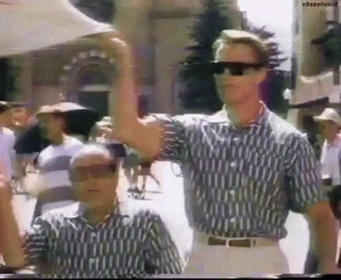 Image result for twins arnold gif"