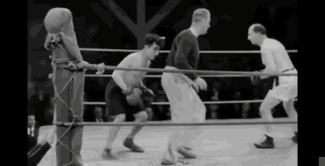 Image result for comedy boxing gif