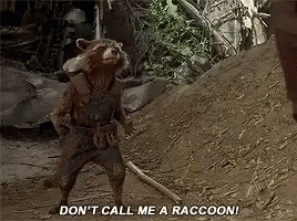 Rocket Raccoon Dont Call Me Araccoon Gif Rocketraccoon Dontcallmearaccoon Gotg Discover Share Gifs