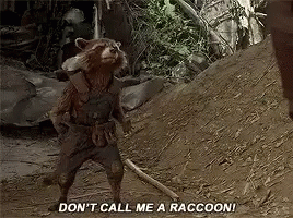 Rocket Raccoon Dont Call Me Araccoon Gif Rocketraccoon Dontcallmearaccoon Gotg Discover Share Gifs Rocket Raccoon Dont Call Me Araccoon Gif Rocketraccoon Dontcallmearaccoon Gotg Discover Share Gifs