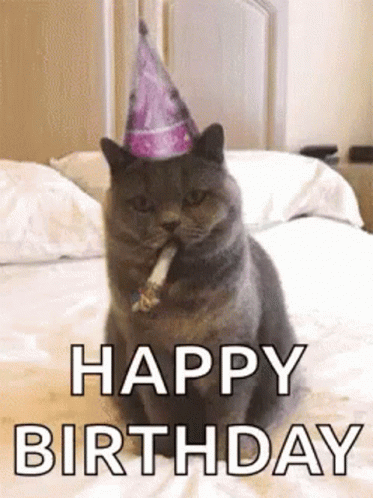 Happy Birthday Cat GIF - HappyBirthday Cat Cute - Discover & Share GIFs