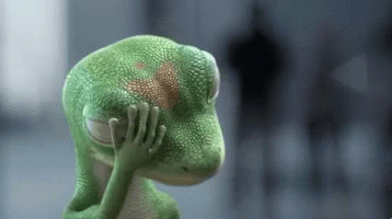 Image result for geico lizard face facepalm gif