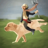 Washington GIFs Tenor Washington GIFs Tenor