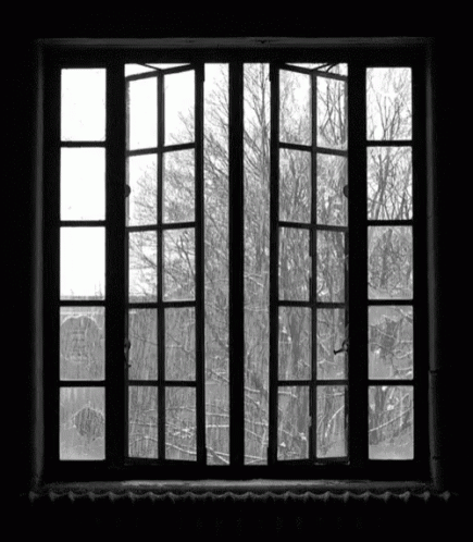 window raining gif window