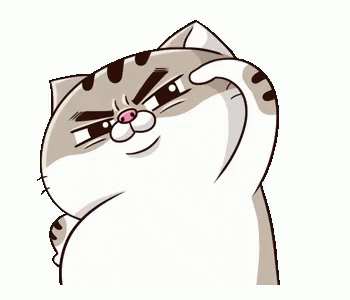 Ami Fat Cat GIF - Ami FatCat Salute - Descubre & Comparte GIFs