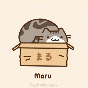 pusheen cat gif pusheen