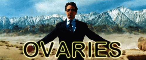 goodbye ovaries gif robertdowneyjr