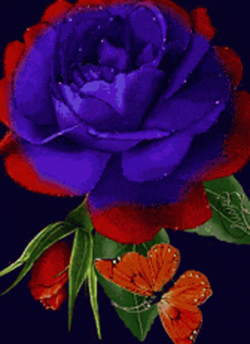 Fiore Flower Gif Fiore Flower Rose Discover Share Gifs
