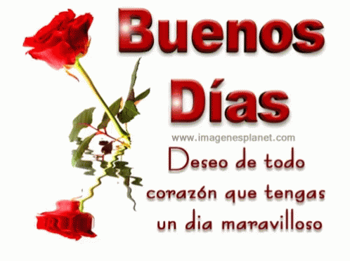 buenos dias gif buenos