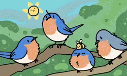 Image result for birds singing gif