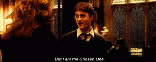 Image result for harry potter the chosen one