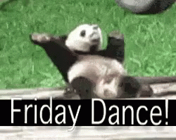 Friday Dance GIF - FridayDance TGIF Panda - Discover & Share GIFs