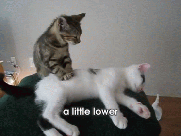Who wants a body massage gif Who wants a body massage gif