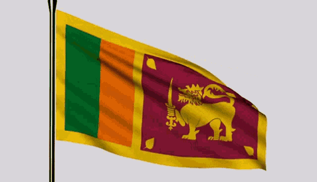 Sri Lanka Sinhala GIF - SriLanka Sinhala Flag - Discover & Share GIFs