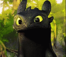 Image result for toothless gif