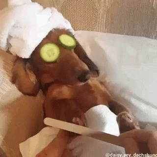 Yes Friday Gif Yes Friday Happy Discover Share Gifs Yes Friday Gif Yes Friday Happy Discover Share Gifs