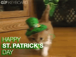 Lucky Kitty GIF - Stpatricksday Irish Stpattysday GIFs