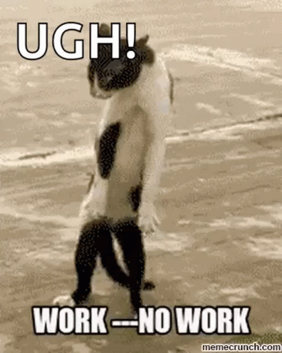 Work No Work GIF - Work NoWork Cat - Discover & Share GIFs