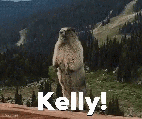 Kelly BTB GIF - KellyBTB Kelly - Discover & Share GIFs