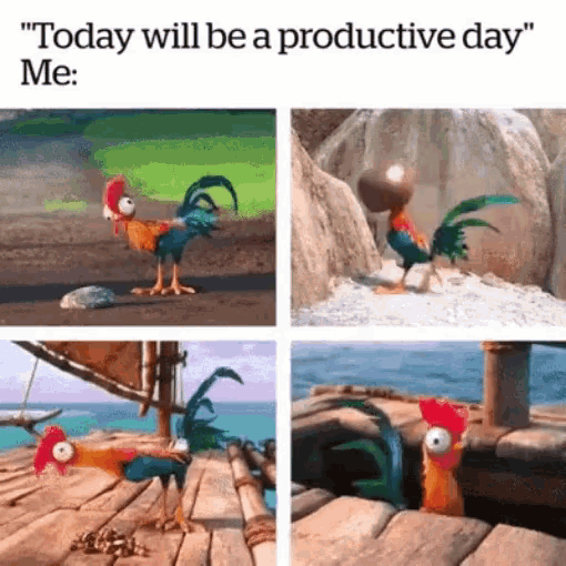 Moana Chicken Gif Moana Chicken Productiveday Discover Share Gifs Moana Chicken Gif Moana Chicken Productiveday Discover Share Gifs