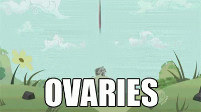 boom explosion gif boom